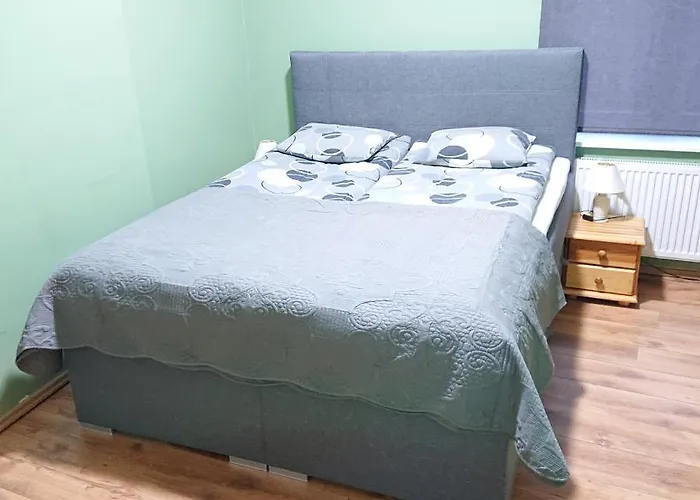 公寓 Bright And Cozy Center 1 Bedroom Ap, Free Parking!