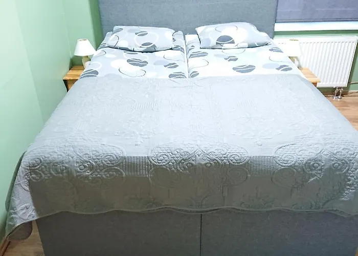 公寓 Bright And Cozy Center 1 Bedroom Ap, Free Parking! *