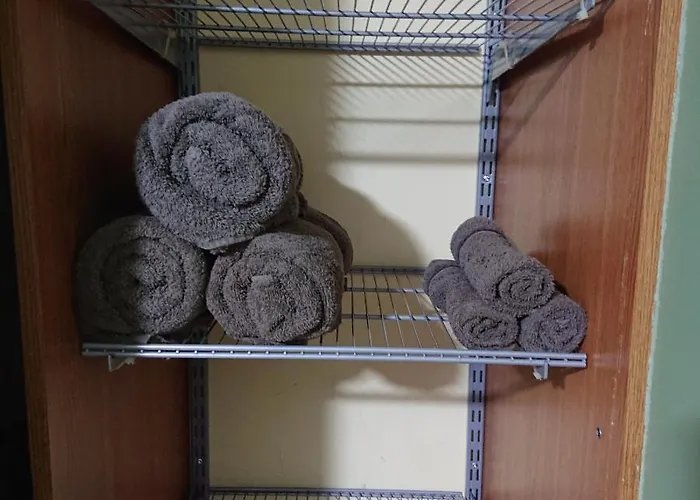 Bright And Cozy Center 1 Bedroom Ap, Free Parking! Lägenhet