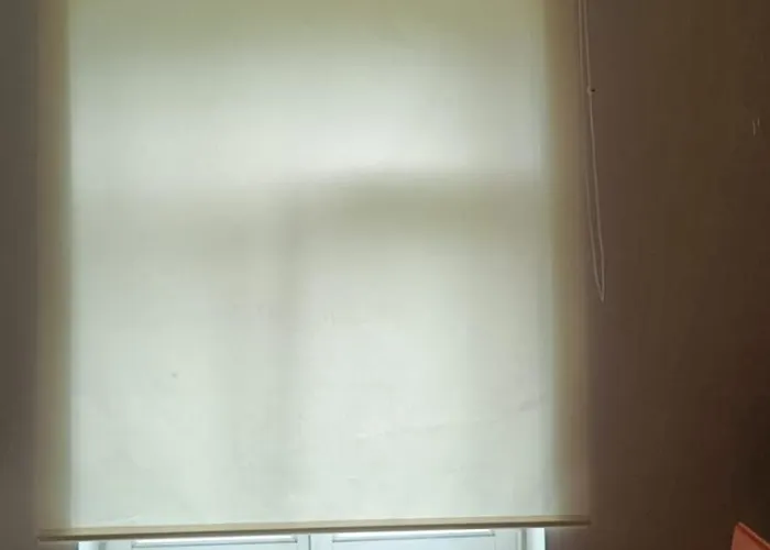 Bright And Cozy Center 1 Bedroom Ap, Free Parking! Lägenhet *